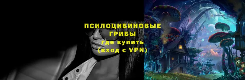 купить  сайты  Усолье  Псилоцибиновые грибы Cubensis 